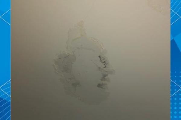 女人梦见租房子漏雨了