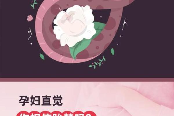 怀孕初期梦见蛇