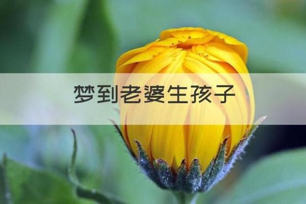 怀孕初期梦见自己生了个女儿