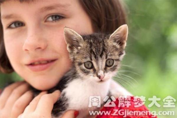 梦见前夫来找我是什么意思
