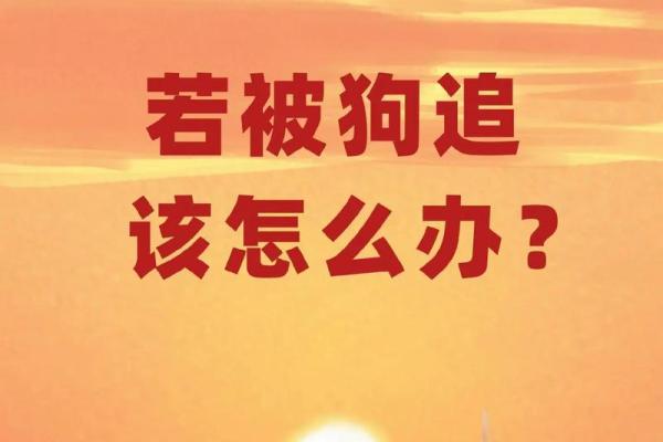 梦见被狗追着咬是什么意思
