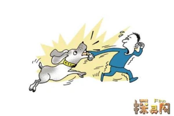 梦见被狗追着咬是什么意思