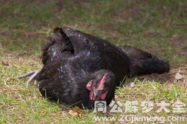 梦到自己的儿子死了是什么征兆