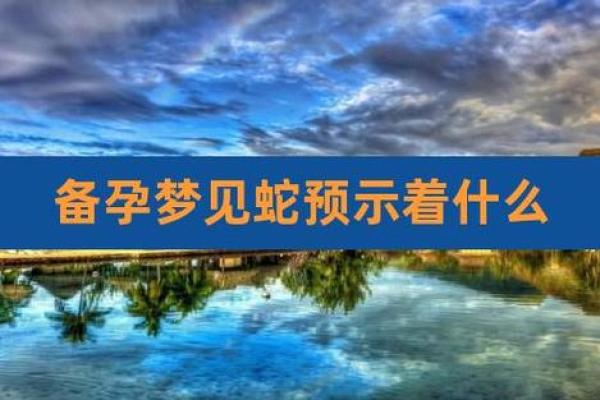 梦到蛇是什么寓意周公解梦