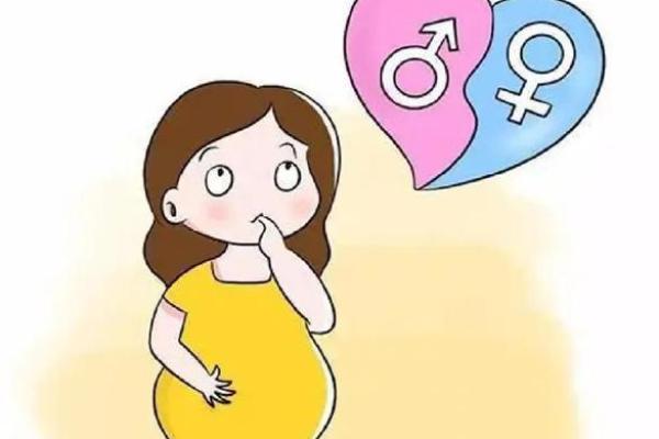 孕妇梦到很多小蛇