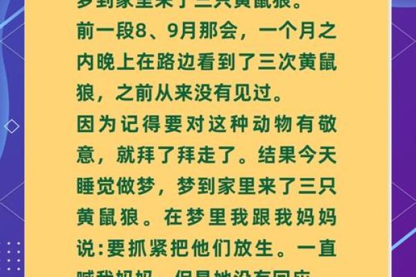 做梦梦见狼追我什么意思啊