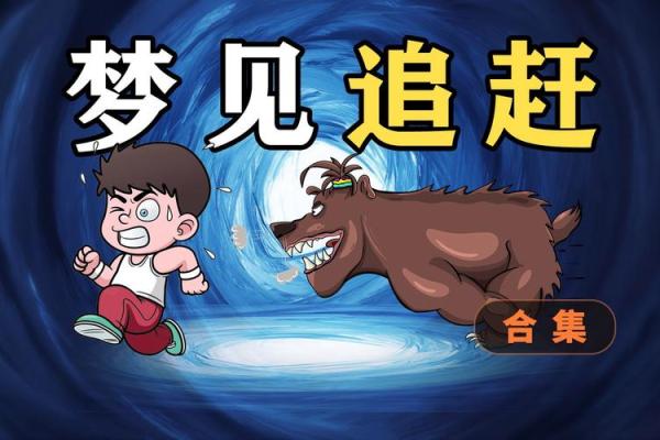 梦见追车