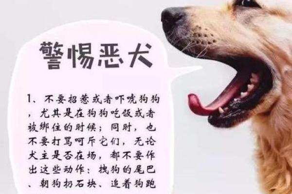 梦见女儿被狗咬