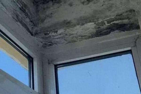 梦见自家房子漏雨了什么意思