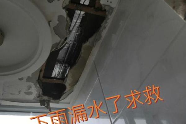 梦见下大雨房子漏水