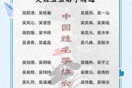 带木字旁的字男孩名字(带木字旁的字男孩名字姓吴)