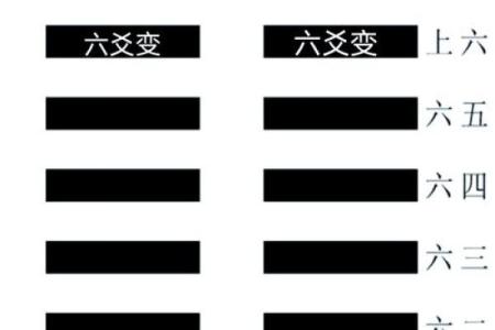 龟壳六爻卦免费占卜(龟壳六爻卦免费占卜坤卦)