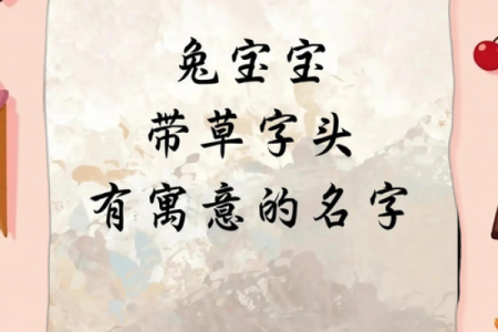 草字头最旺男孩名字推荐(草字头的男孩子的名字)