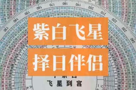 玄空飞星择日的正确方法(玄空飞星择日的正确方法雷太壮)