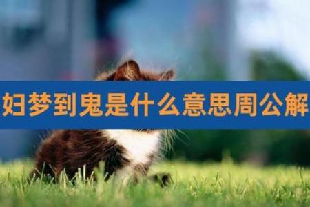 周公解梦梦见鬼