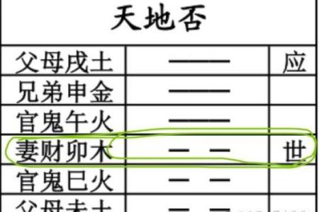 周易六爻占卜大全(周易六爻详解)