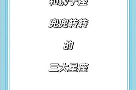双子女和狮子男座配对指数(双子女和狮子座男配吗)