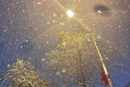 梦见自己家下雪是什么征兆