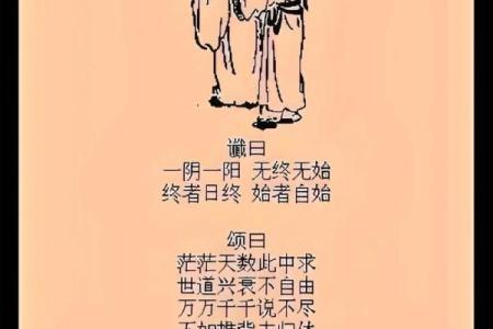 每日一签六爻占卜龟背(每日一签六爻占卜龟背30卦)