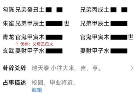 六爻龟壳卜卦(六爻龟壳卜卦准吗)