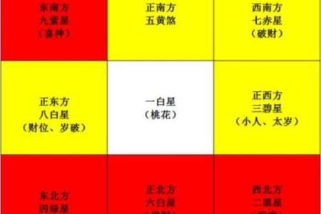 玄空飞星排盘方法(玄空飞星排盘方法视频)