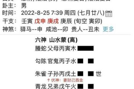 六爻龟背免费占卜(六爻龟背免费占卜详解)