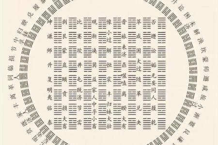 周易六爻占卜(周易六爻占卜摇一卦)