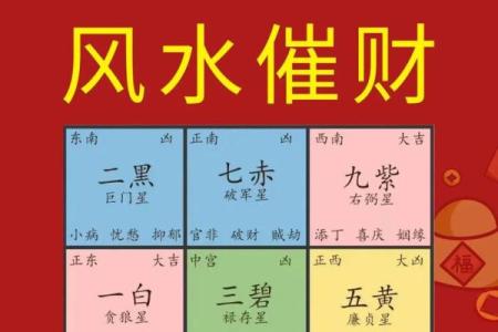大玄空飞星排盘(玄空飞星排盘免费版)