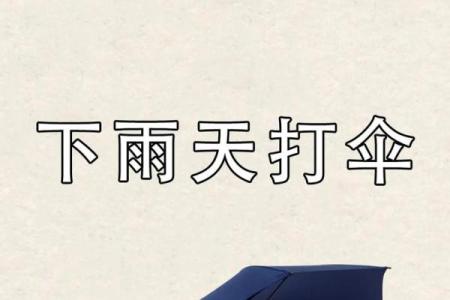 梦见突然下雨