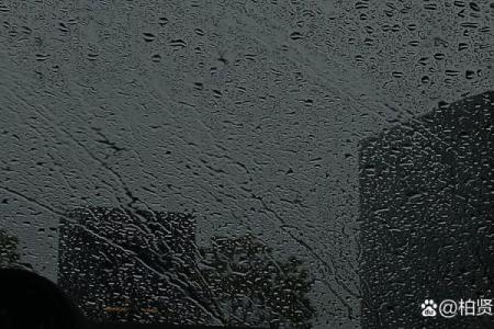 梦见家中下雪怎么回事