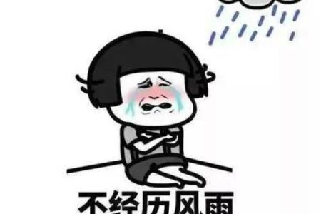 梦见下雨没带伞