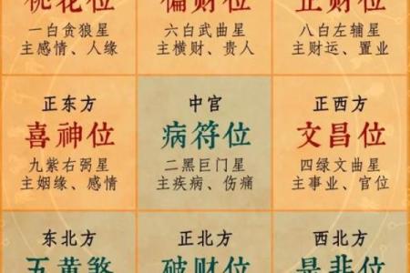 玄空飞星2025(玄空飞星2024九星吉凶图)