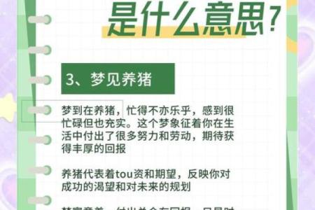 梦见被猪追是什么预兆 女性