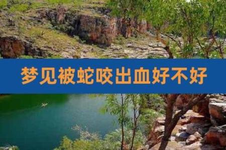 梦见自己被蛇咬出血了是什么征兆