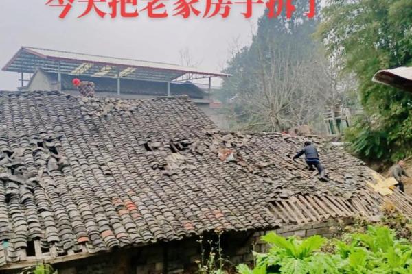 梦见别人拆房子