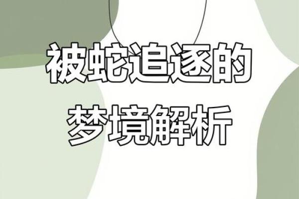 梦到自己被蛇追是什么意思