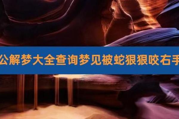梦见蛇咬我我把蛇杀掉了