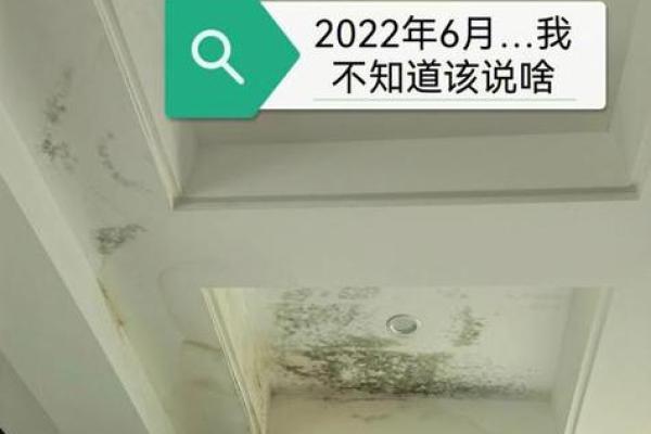 梦见自己住的房子漏水了是什么意思