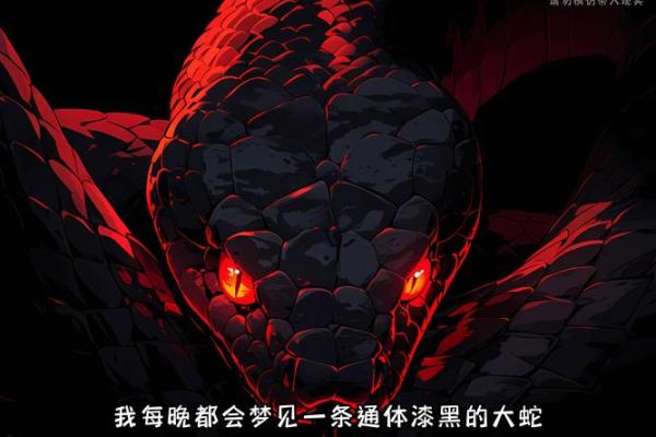 梦到很多黑蛇