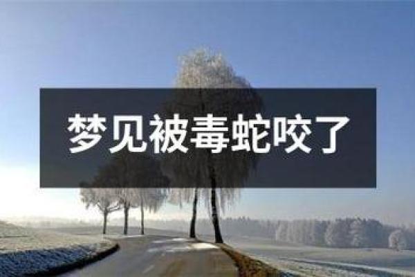 梦见儿子被蛇咬是什么意思