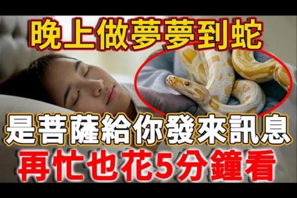 临考试的学生梦到蛇