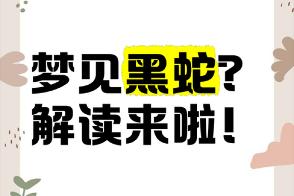 梦到一条黑蛇