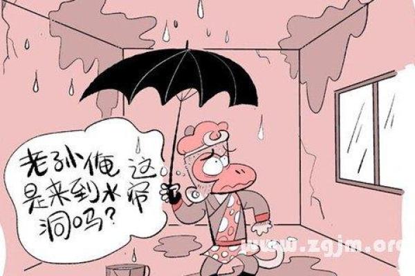 梦见自己家房子漏水