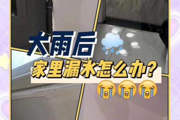 梦见漏雨的房子是什么意思
