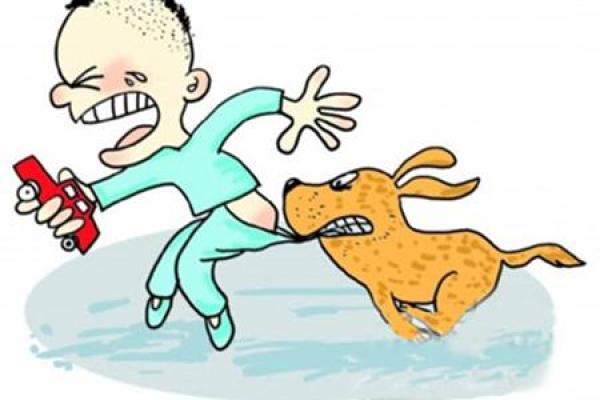 梦见追狗跑是什么意思