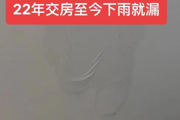 梦见自己家房子到处漏雨