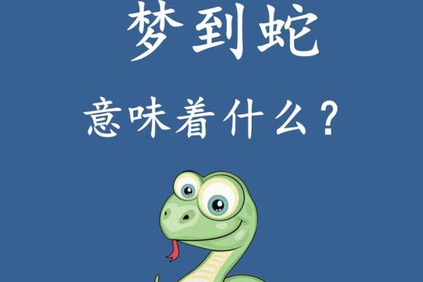 晚上梦到很多蛇是什么征兆