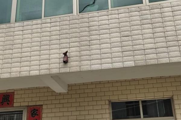 梦见房子受损是什么预兆