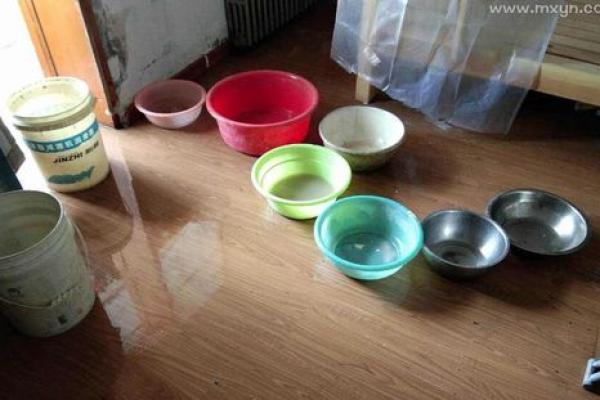 梦见房子下面全是水