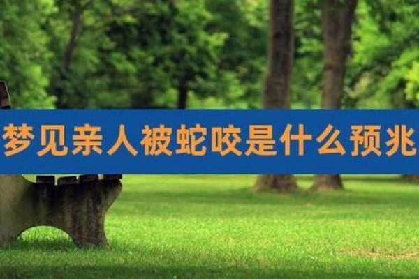 梦到别人被蛇咬了是什么征兆 女性